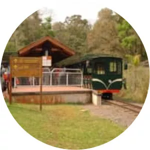 Rainforest Ecological Train - 