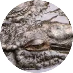 Rainforestation Nature Park