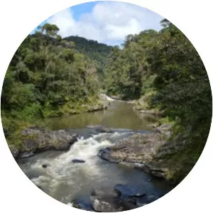 Rainforests of the Atsinanana - 