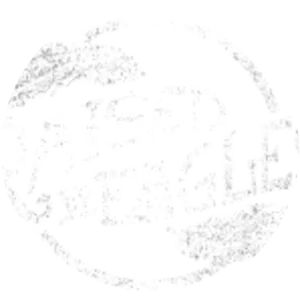 Raised by Eagles - Musical group
