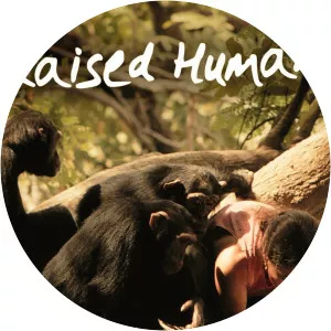 Raised HumanSince 2016