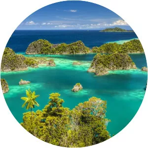 Raja Ampat Regency (Raja Ampat)