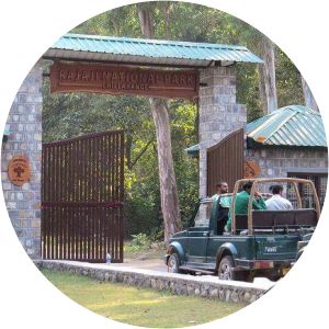 Rajaji National Park - 