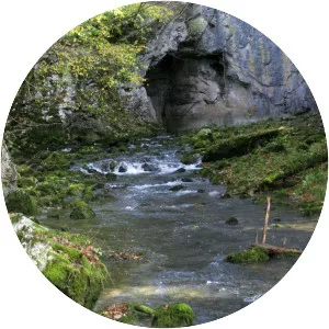 Rak Škocjan - Valley