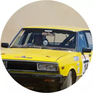 Rallying: The Killer YearsSince 2012