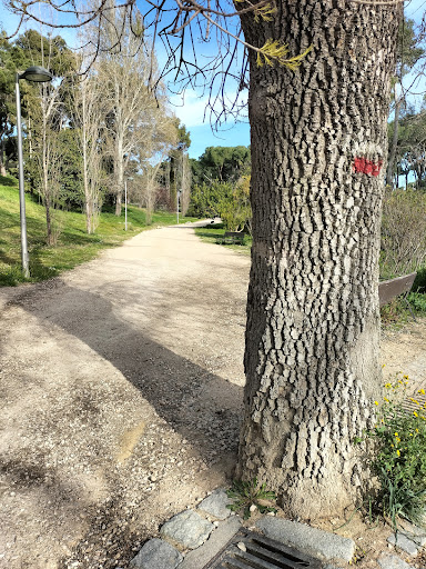 Ramal de la Dehesa de la Villa de la Senda Real GR-124