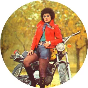 Ramesh - Persian singer