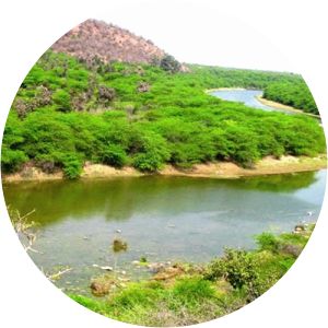 Ramgarh vishdhari sanctuary - 