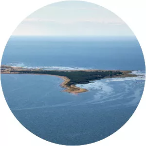 Rammu - Island in Estonia