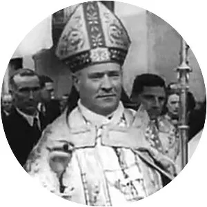 Ramon Iglesias i Navarri