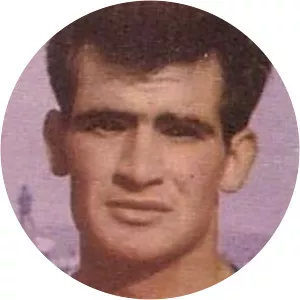 Ramón Miralles Sarrión