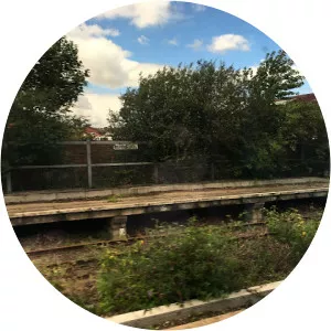 Ramsline Halt railway station