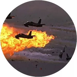 Ramstein air show disaster - 
