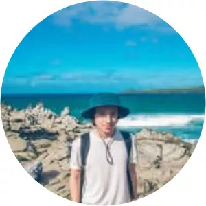 Ramzoid - Musical artist