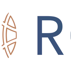 Rand Merchant Investment Holdings