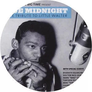 Raoul Walter Musician