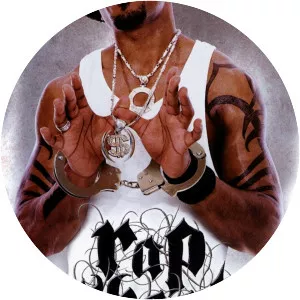 Rap Sheet: Hip-Hop and The Cops