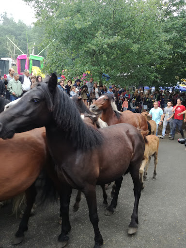 Rapa das Bestas - Stadium in Spain