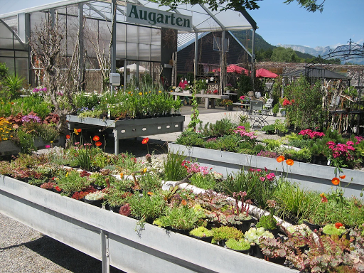 Raphael Kopf Augarten Gartengestaltung - 