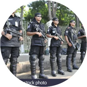 Rapid Action Battalion