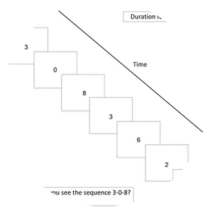 Rapid serial visual presentation - Book