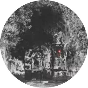 Rare Field Ceiling - Album by Yellow Eyes