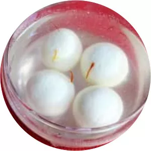 Rasgulla - Dessert