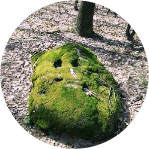 Raslav Stone Abranovce