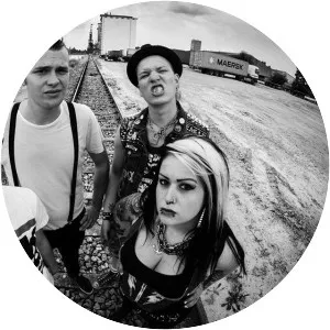 Rather Raccoon - Musical artist