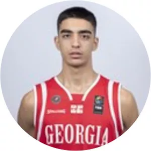 Rati Andronikashvili