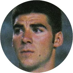 Raúl Ibáñez Galdón