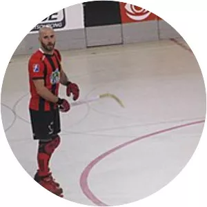 Raül Marín i Martín