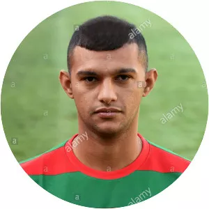 Raul Michel Melo da Silva