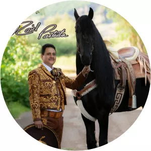 Raúl Partida - Musical artist