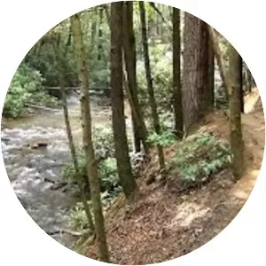 Raven Cliff Falls Trail - 