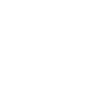 Raven Property Group