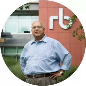 Ravi Saligram photograph