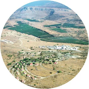 Ravid - Musical artist