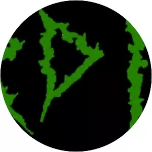 Raw Decimating Brutality - Musical group