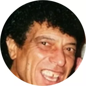 Ray Dorset - Guitarist