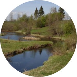 Rdeysky Nature Reserve