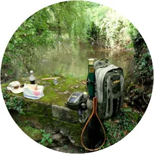 Rea Brook - Brook in England