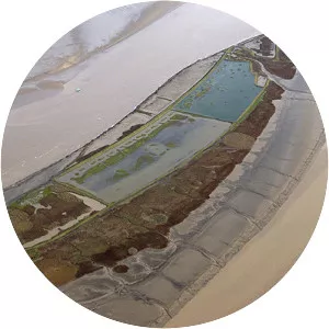 Read's Island - Island in Winteringham, England