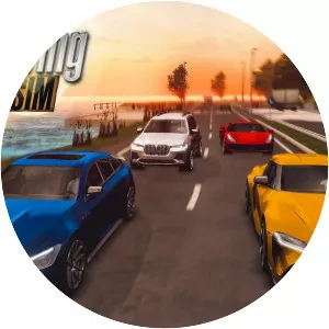 Real Driving Sim - Video game