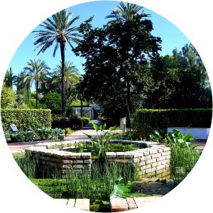 Real Jardín Botánico de Córdoba
