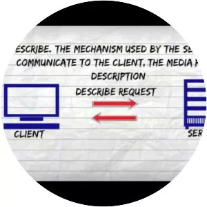 Real Time Streaming Protocol - 