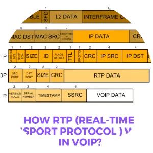 Real-time Transport Protocol - 