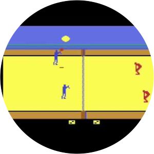 RealSports Volleyball