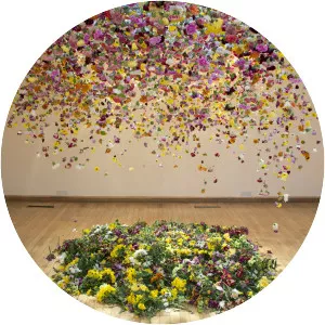 Rebecca Louise Law - Installation artist