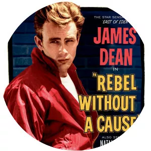 Rebel Without a Cause